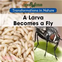 在飛比找三民網路書店優惠-A Larva Becomes a Fly