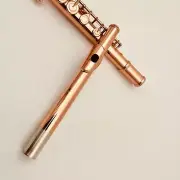 100% New Flute 17 Holes Closed Hole C Red Bronze Instrument with Case