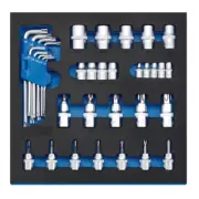 Draper Expert Screwdriver Insert Bits and Draper TX-STAR® Keys in 1/2 Drawer EVA