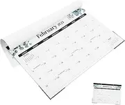 LALAFINA English Wall Calendar Monthly Planner for Home School and Office Cover Sturdy Backing Smooth Writing Surface Professional Design for Taking