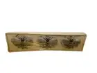 Set Of 3 Bee Butterfly Wax Candles 3"L x 2"T New In Original Box