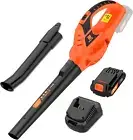 Soplador de hojas inalámbrico, eléctrico de mano de 21 V