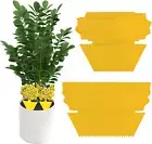 50 Pcs Sticky Traps, Sticky Fruit Fly and Plant Gnat Bug Traps for Indoor/Outdoo