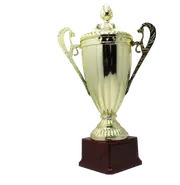 Large Classic Gold Trophy Cup Novelty Winners Prize Solid Achievement Award
