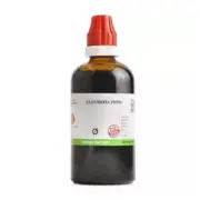 BJain Cucurbita Pepo 1X (Q) Mother Tinctures (100ml)