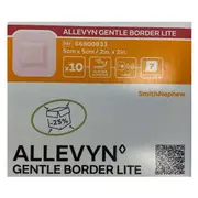 ALLEVYN Gentle Border Lite 5cm x 5cm 10 Pack by Smith & Nephew