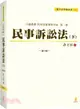 民事訴訟法（下）：口述講義民事及家事程序法第一卷