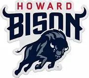 Rico Industries NCAA Howard Bison Primary Shape Cut Pennant - Home and Living Room Décor - Soft Felt EZ to Hang