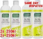2 Set Thursday Plantation Tea Tree Everyday Shampoo & Conditoner 250ml Australia