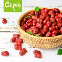 在飛比找蝦皮購物優惠-Cepis 有機紅棗250g【健康食彩】