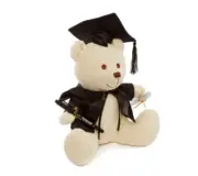 GRAD l Cream Signature Graduation Teddy Bear With Pen 25CM I Graduation Gifts