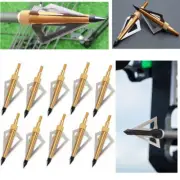 12pcs Archery Hunting Broadheads 125 Grain Screw-in Tips for Bow Hunting Target