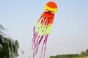 NEW 8m animal octopus triangle Kite outdoor Sports FUN Toys novelty SINGLE LINE