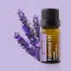 Bone / 薰衣草精油 Essential Oil - Lavender 10ml