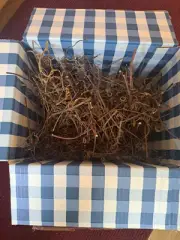 Large Box Of Grape Vine Tendrils **Several Hundred!