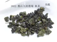 在飛比找Yahoo!奇摩拍賣優惠-2022 梨山天府農場 烏龍茶 2兩(75g)