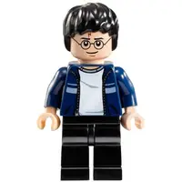 在飛比找蝦皮購物優惠-玩樂趣 LEGO樂高 10217 Harry Potter 