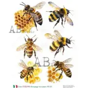 Bees & Honeycomb | A4 Rice Paper | Paper for Decoupage | AB Studios