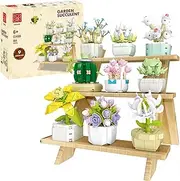 XMORK Succulent Plant Building Blocks Set, 9 Tiny Plants Kit with Display Frame for Botanical Collection and Decor, Succulents Bonsai Toy for Adults and Kids 6+, 854 PCS