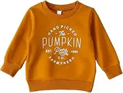 [BOEBNOZCV] Toddler Baby Girls Boy Leopard Print Sweater Long Sleeve Pullover Tops Blouse Sweatshirt Autumn Clothes