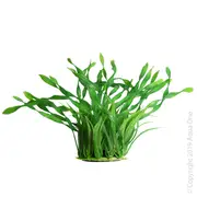 Aqua One Ecoscape Corkscrew Val Planter - Medium / Green