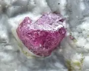 100 Carat Natural Ruby Crystal Specimen From Jikdalek Afghanistan