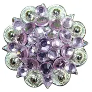 12HS 32 Rose Crystals Berry Concho Rhinestone Headstall Saddle Tack Cowgirl
