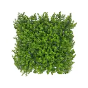 UN-REAL 50 x 50cm Artificial Hedge - Baby Eucalyptus