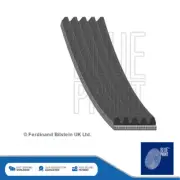 Fits Ford Ka Fiat 500 Panda Grande Punto V Ribbed Drive Belt Blue Print