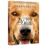 為了與你相遇 (DVD) A DOG’S PURPOSE 發行公司：傳訊