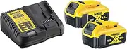 DeWalt Battery Starter Kit with Quick Charger and 2 XR Li-Ion 5.0 Ah, 18 V Batteries, Long Runtime, Charge Level Indicator