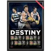 PATRICK DANGERFIELD GEELONG CATS 2017 BROWNLOW FRAMED POSTER AFL MEMORABILIA