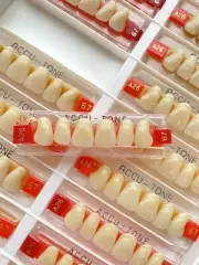 Acrylic Resin False Teeth Accu-tone Anterior Upper A3/67-A26 dentures box 120pcs