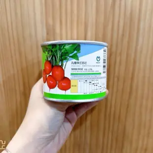 原包裝 1/4磅 一代交配 櫻桃蘿蔔 日本原裝進口 櫻桃蘿蔔種子 蘿蔔種子 櫻桃蘿蔔 櫻桃蘿蔔種子