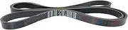 06E903137N 6PK2456 Serpentine Drive Belt Multi V-Belt Compatible with 3.0T Audi 2009-2011 A6(C6) 2007-2011 A6 Allroad Quattro