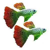 在飛比找Coupang 酷澎優惠-HYPER PET 魚缸裝飾螢光魚模型 Q2QBSSW001