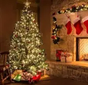 Indoor/Outdoor 8 Modes Waterproof Battery-Powered String Lights for Tree 50 LED