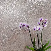 Crushed Velvet Foil Wallpaper Arthouse Rose Gold
