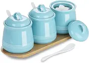 HAOTOP Porcelain Condiment Jar 3 Pack Set with Tray, 12 Ounces Turquoise