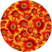 Slipmat Slip Mat Felt for 12" Turntable LP DJ Vinyl Record Player FLOWER POWER 2