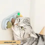 Catnip Ball Wall Treat | Healthy Chew Ball for Cats | Rotating Catnip Toy