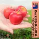 【成城農產】紐西蘭樂淇管裝小蘋果6管(4粒/424g/管)