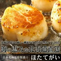 在飛比找樂天市場購物網優惠-【永鮮好食】日本 北海道 2L 生食級 新鮮 冷凍 干貝 海