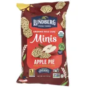 Organic Rice Cake Minis, Apple Pie, 5 oz (142 g)