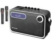 Karaoke Machine With 2 Wireless Microphones, 300W Portable Speaker System for...
