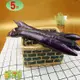 鮮採家 台灣鮮嫩長條紫茄子5台斤