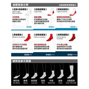 【SmartWool 美國】女機能戶外全輕量減震中筒襪 中性灰 酒紅 紫鳶尾花 S M 聰明羊登山襪 SW001572