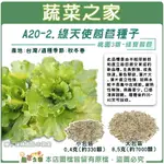 【蔬菜之家】A20-2.綠天使萵苣種子 桃園3號綠寶萵苣(共2種包裝可選)