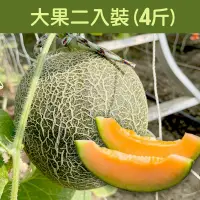 在飛比找台灣好農優惠-GoGoFarmer有機卡蜜拉網紋哈密瓜-大果2入(4台斤)