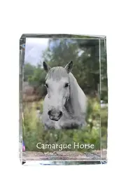 Camargue Horse crystal with a horse Art-Dog